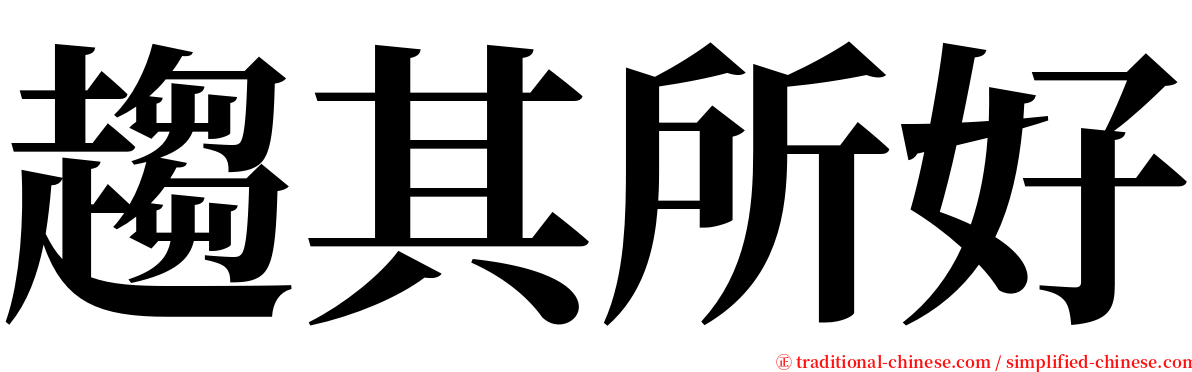 趨其所好 serif font