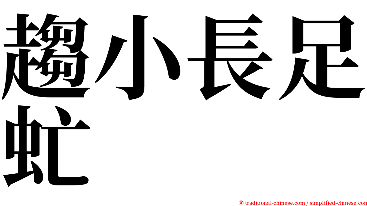 趨小長足虻 serif font