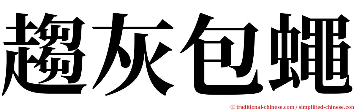 趨灰包蠅 serif font