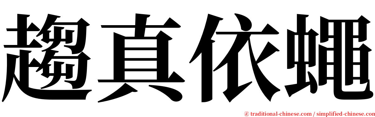 趨真依蠅 serif font