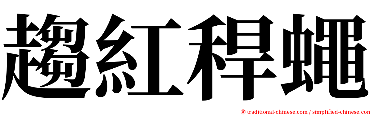 趨紅稈蠅 serif font