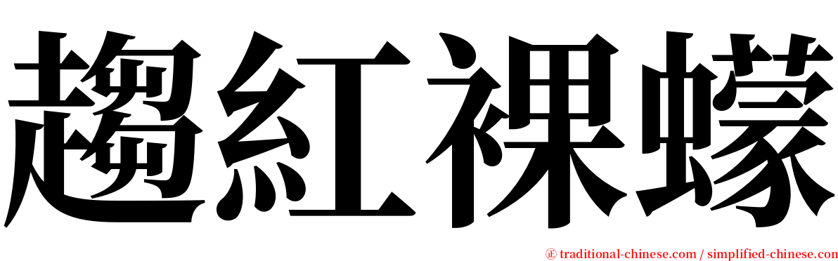 趨紅裸蠓 serif font