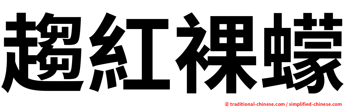 趨紅裸蠓