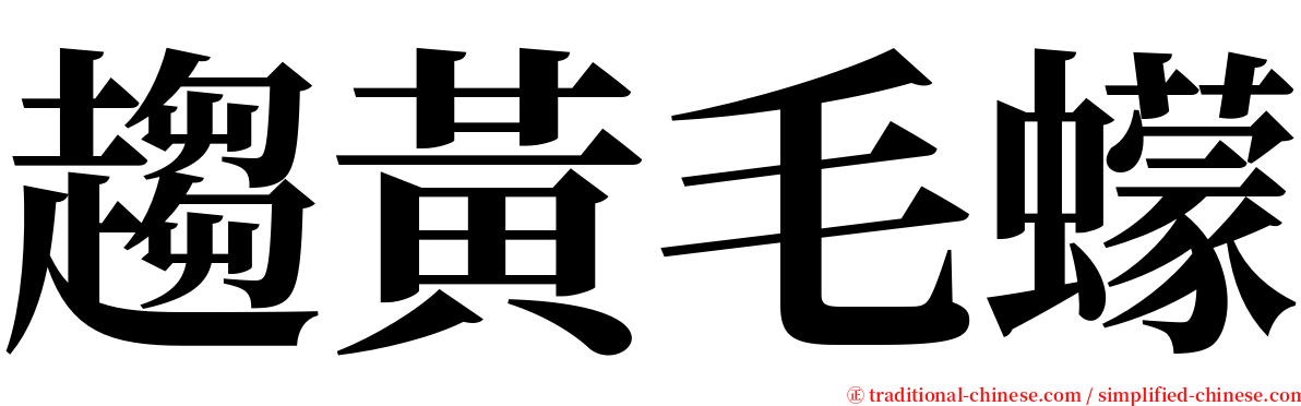 趨黃毛蠓 serif font