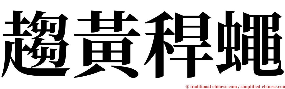 趨黃稈蠅 serif font