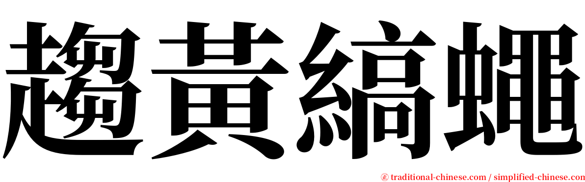 趨黃縞蠅 serif font