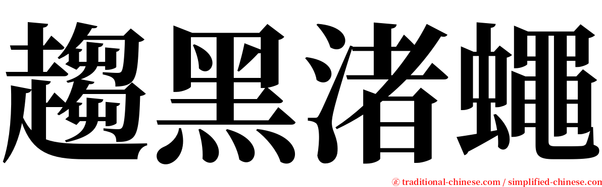 趨黑渚蠅 serif font