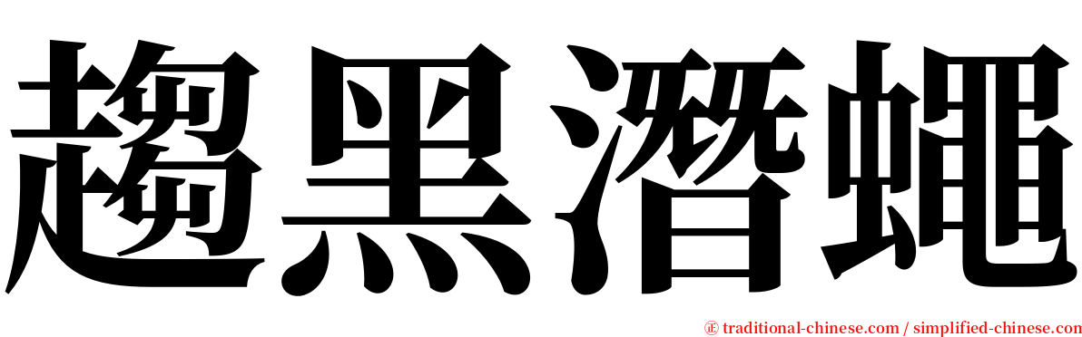 趨黑潛蠅 serif font