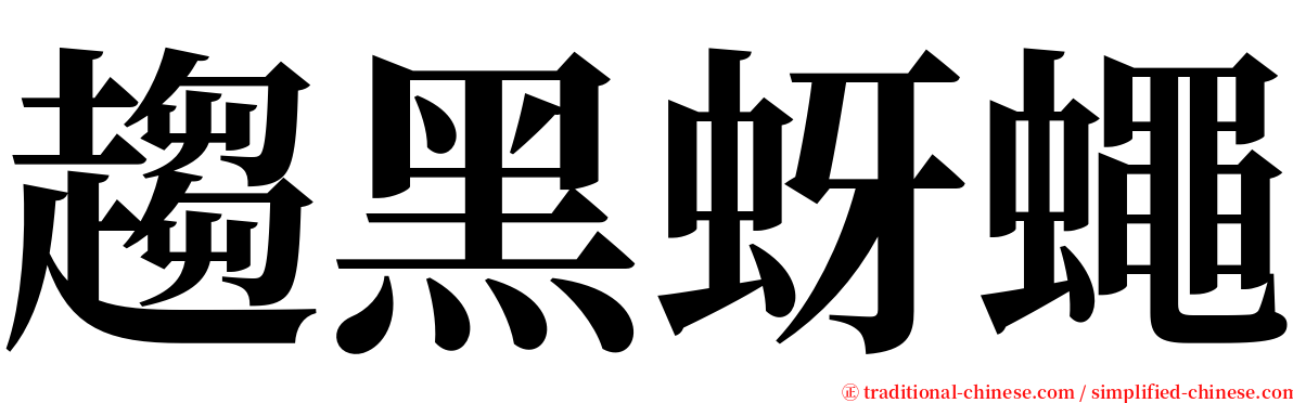 趨黑蚜蠅 serif font