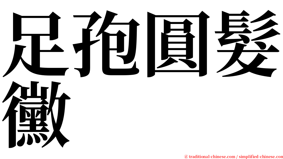 足孢圓髮黴 serif font