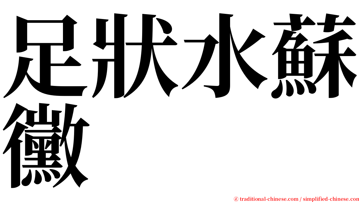 足狀水蘇黴 serif font