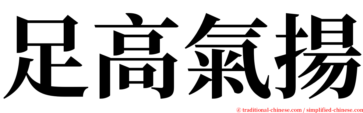 足高氣揚 serif font