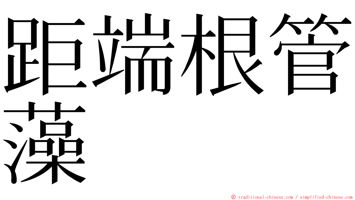 距端根管藻 ming font