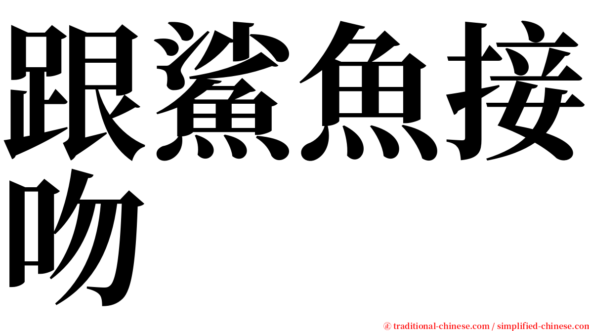 跟鯊魚接吻 serif font