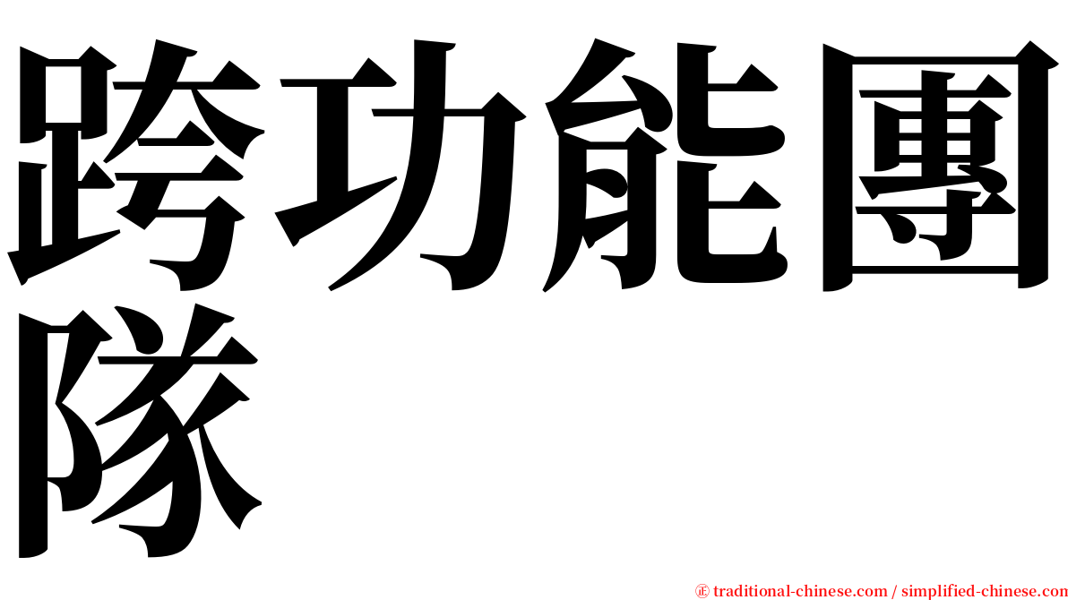 跨功能團隊 serif font