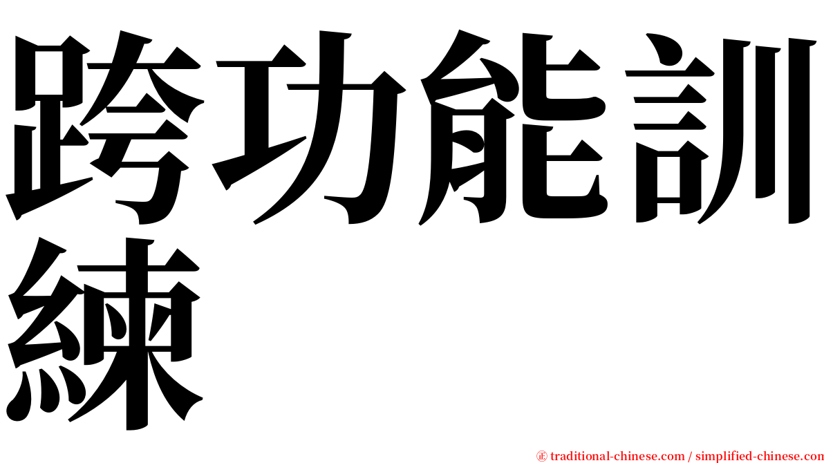 跨功能訓練 serif font