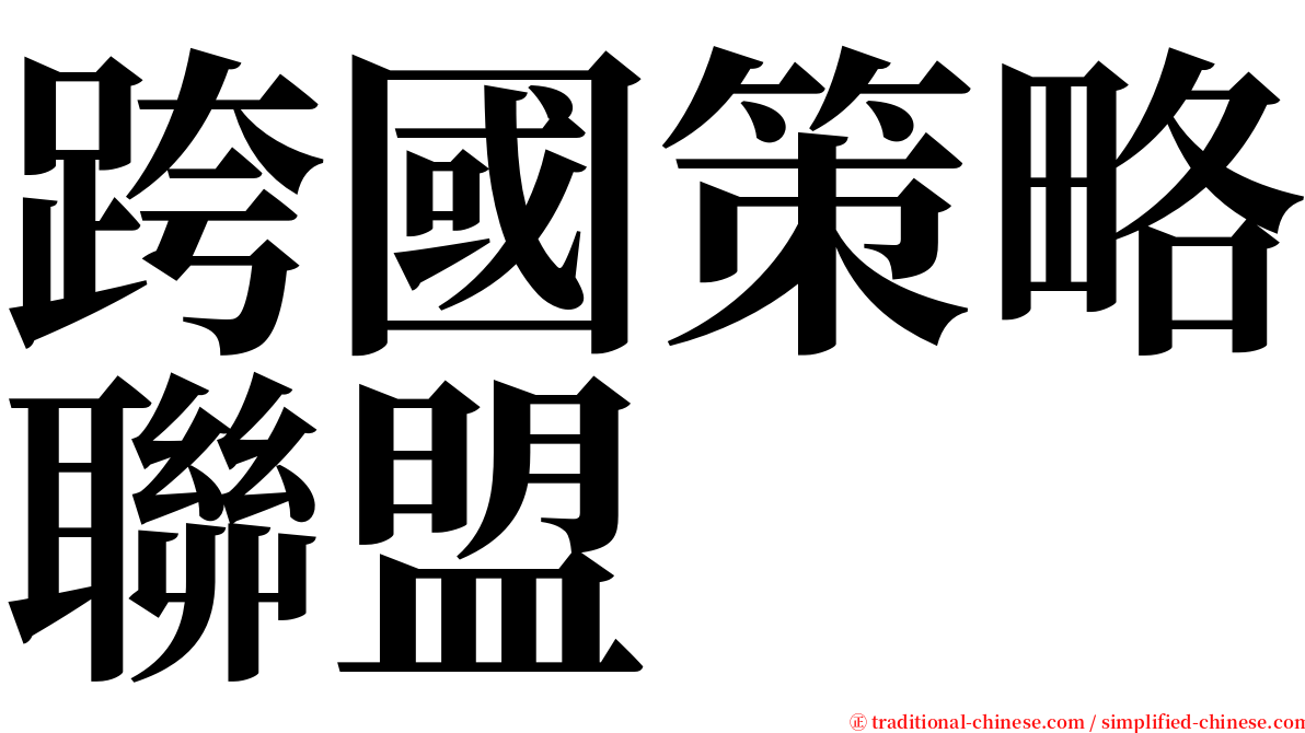 跨國策略聯盟 serif font