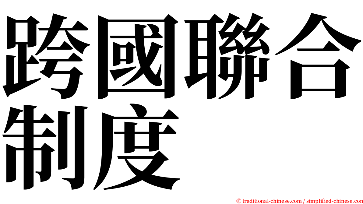 跨國聯合制度 serif font