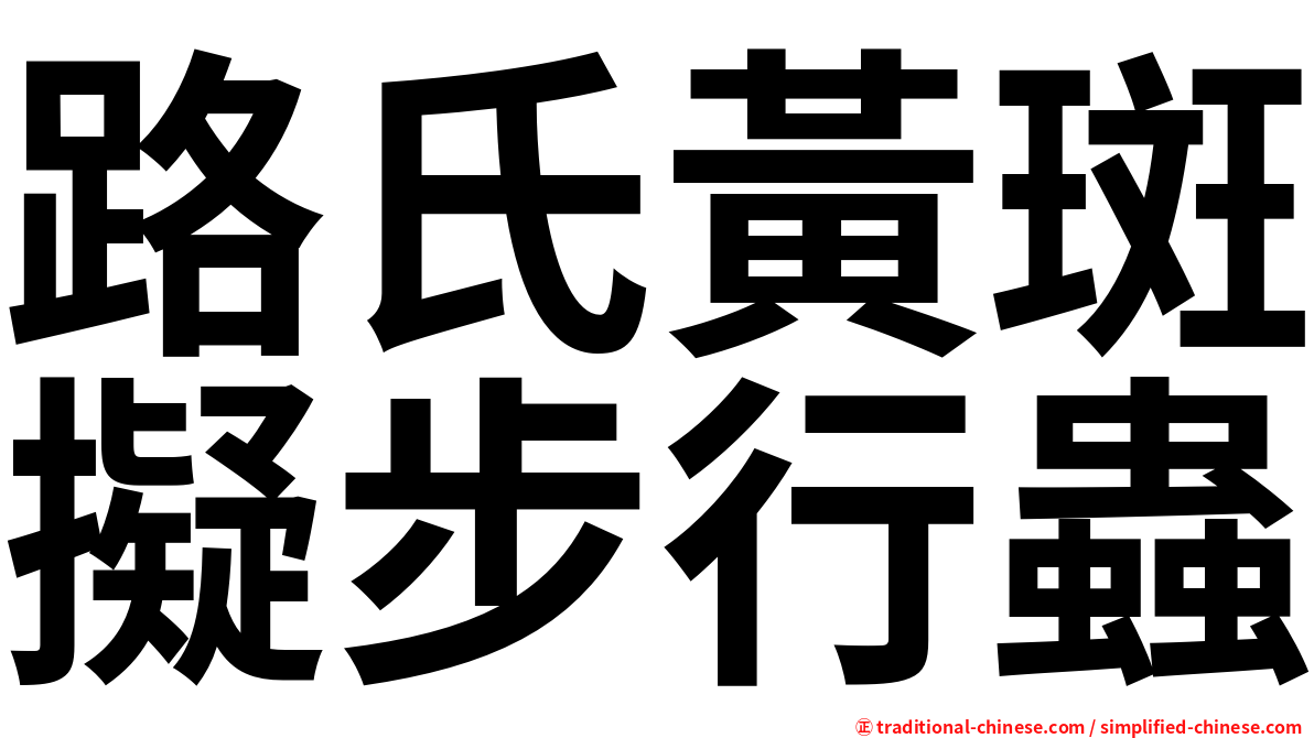 路氏黃斑擬步行蟲