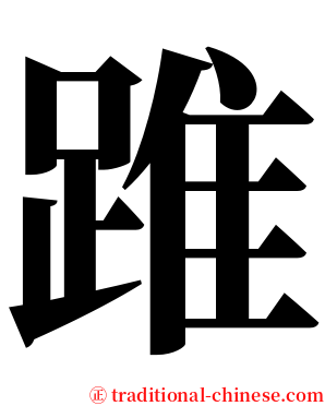 踓 serif font