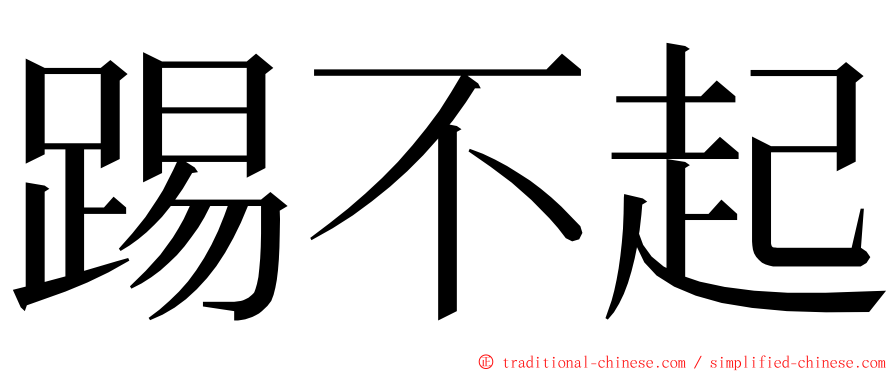 踢不起 ming font