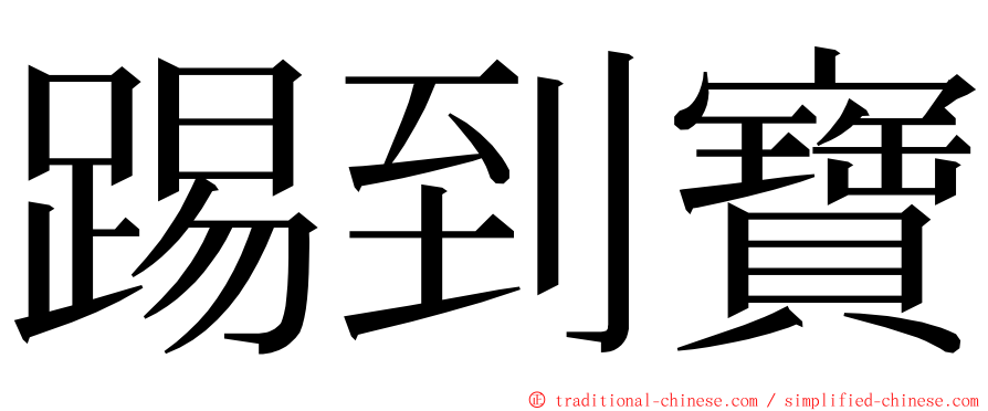 踢到寶 ming font