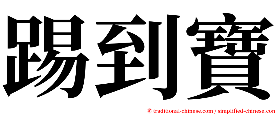 踢到寶 serif font