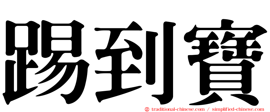 踢到寶