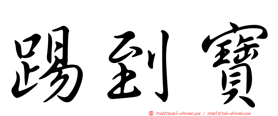 踢到寶