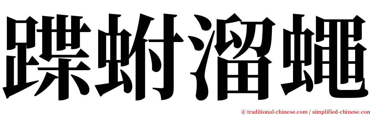 蹀蚹溜蠅 serif font