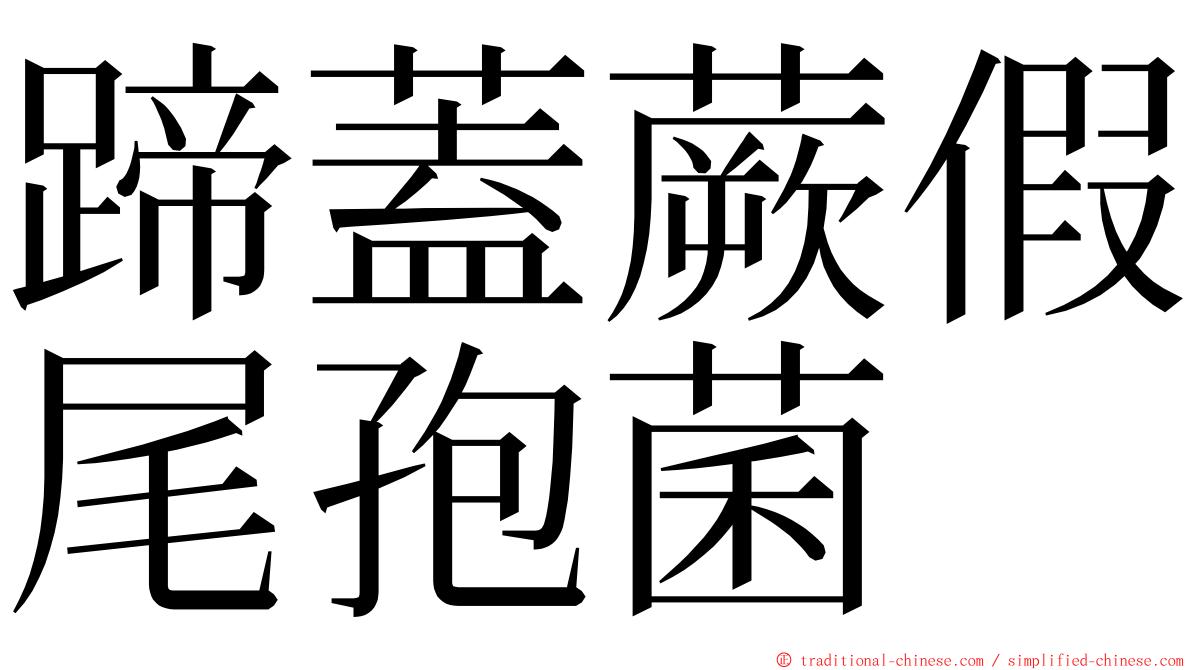 蹄蓋蕨假尾孢菌 ming font