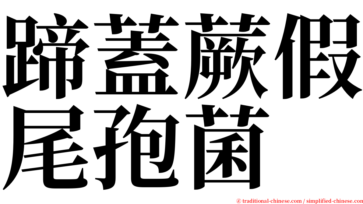 蹄蓋蕨假尾孢菌 serif font