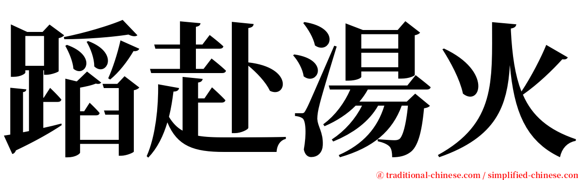 蹈赴湯火 serif font