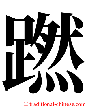 蹨 serif font