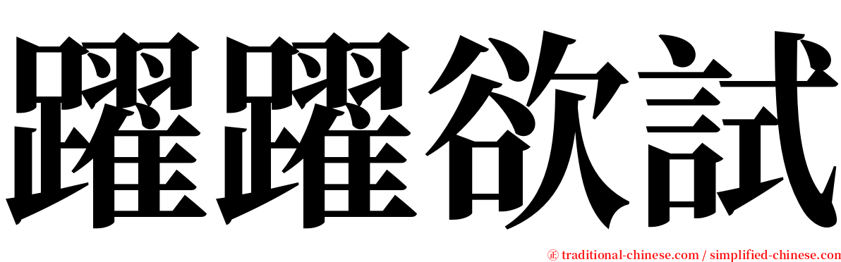 躍躍欲試 serif font