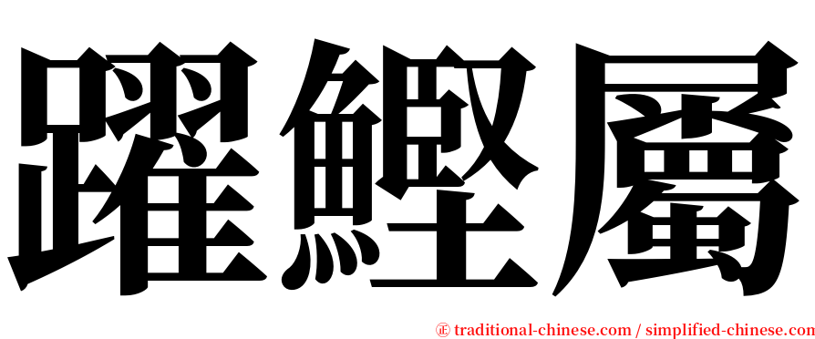 躍鰹屬 serif font