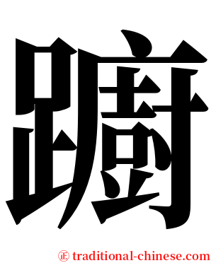 躕 serif font