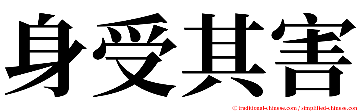 身受其害 serif font