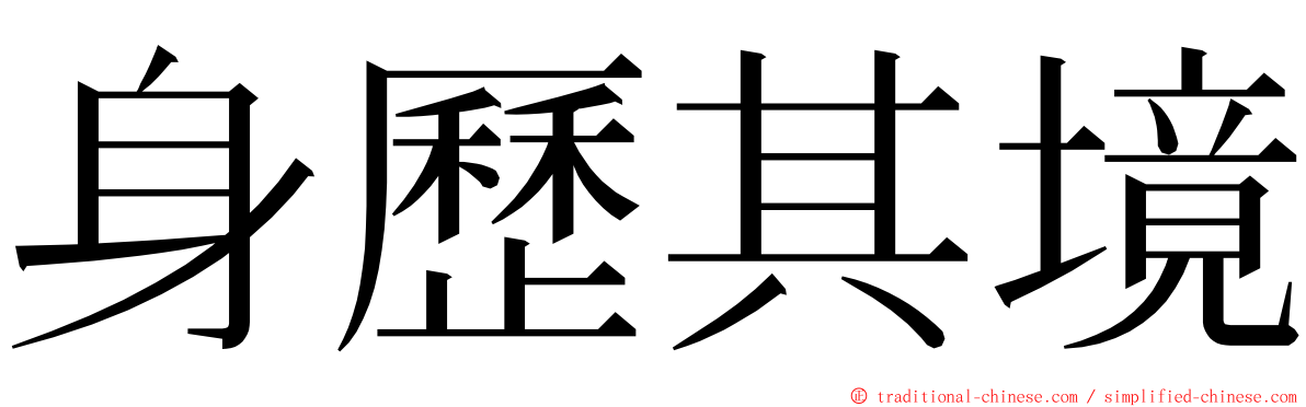 身歷其境 ming font