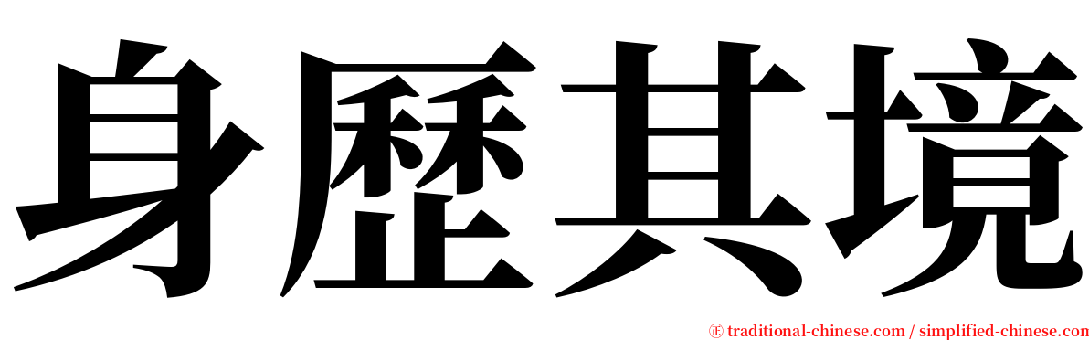 身歷其境 serif font