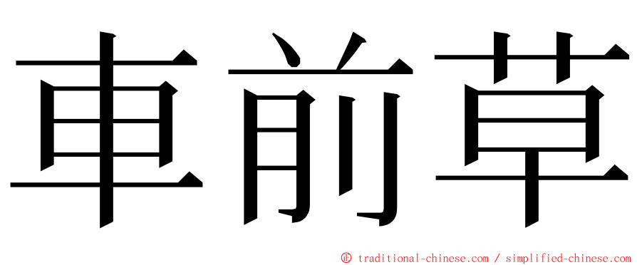 車前草 ming font