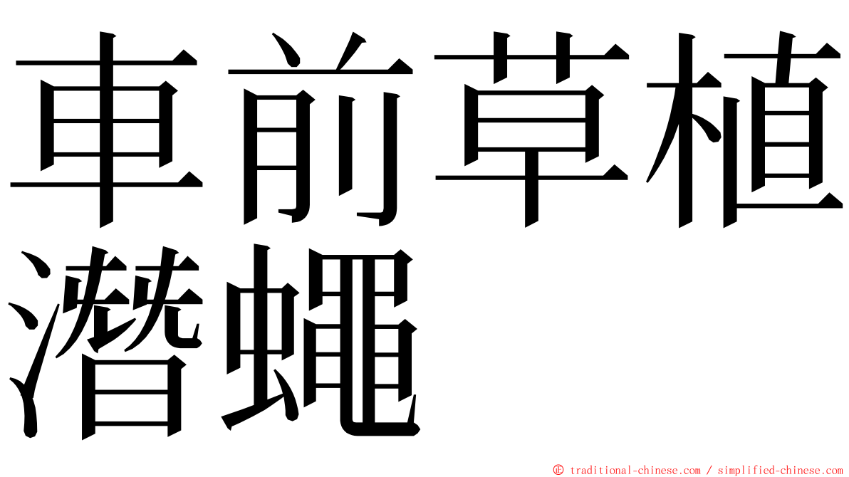 車前草植潛蠅 ming font