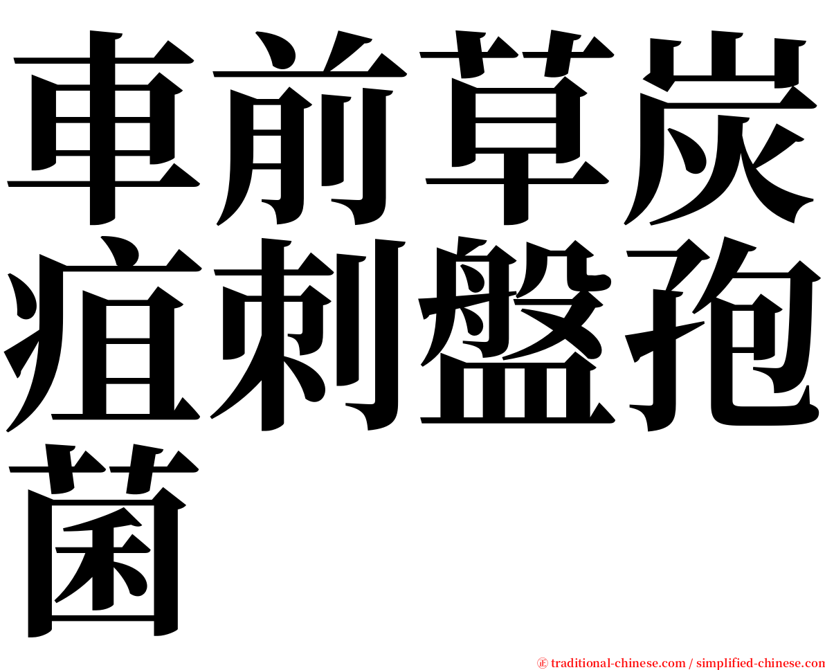 車前草炭疽刺盤孢菌 serif font