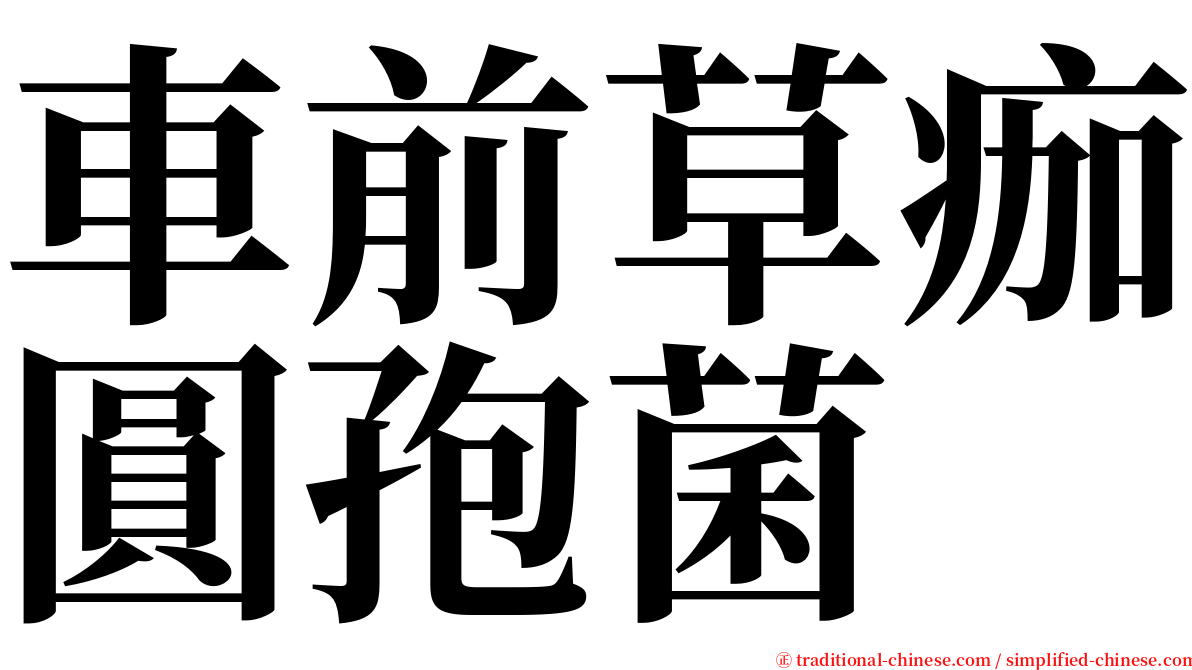 車前草痂圓孢菌 serif font