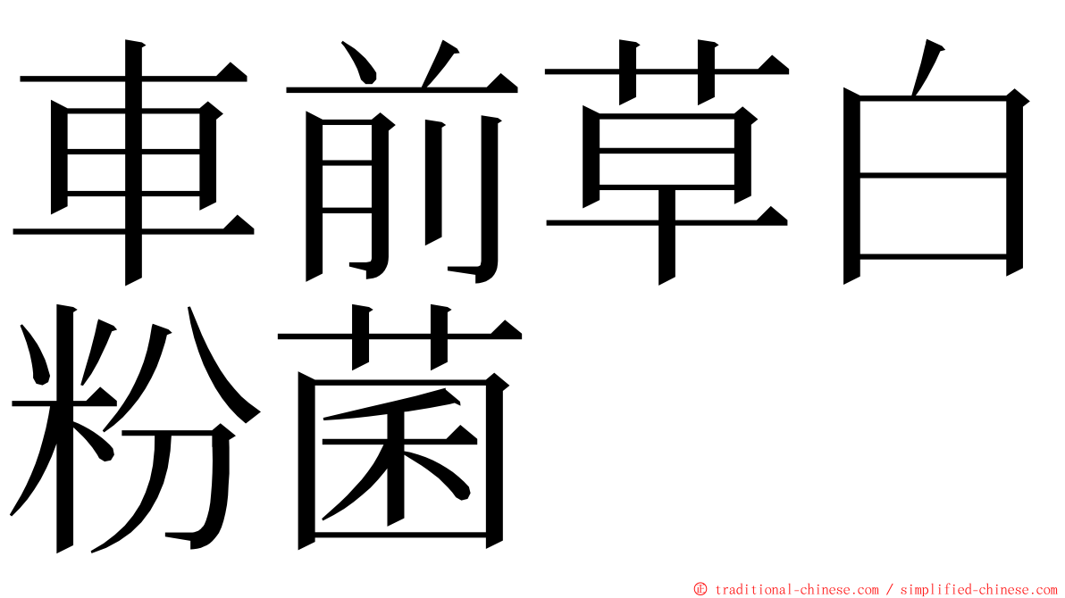 車前草白粉菌 ming font