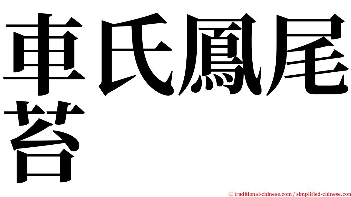 車氏鳳尾苔 serif font