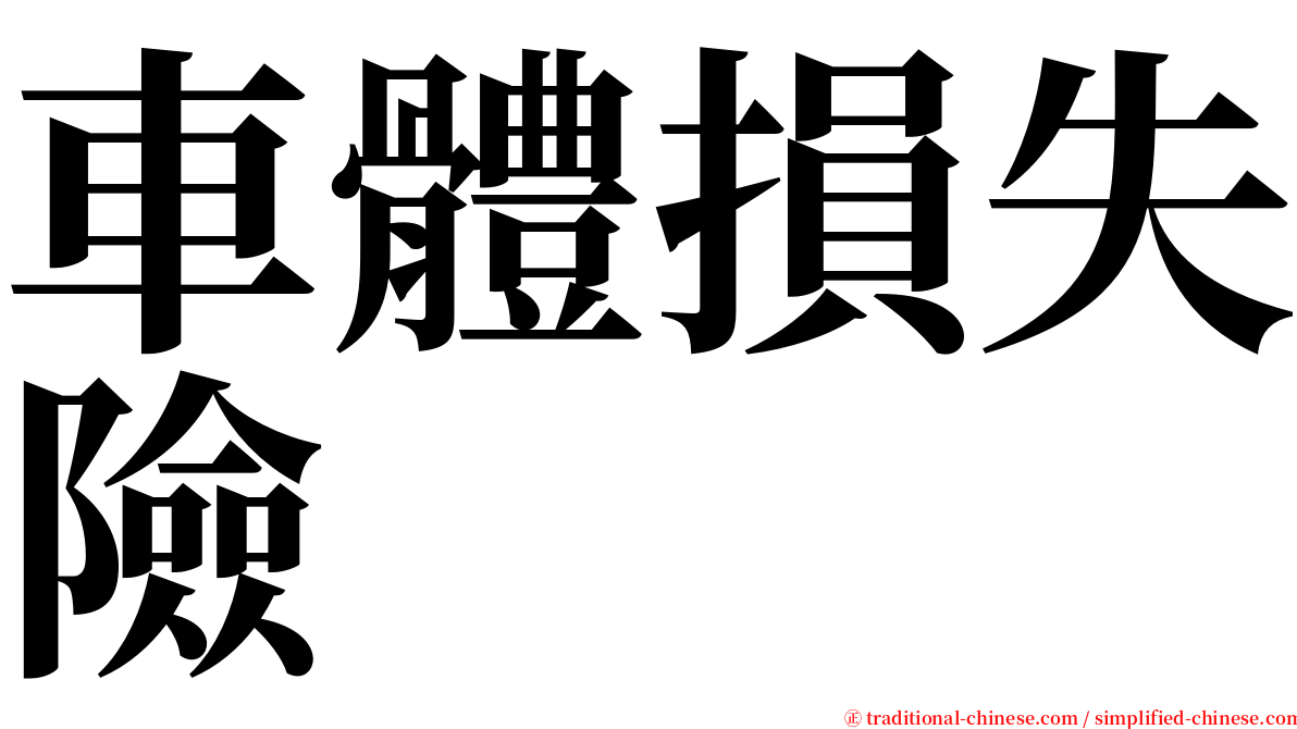 車體損失險 serif font