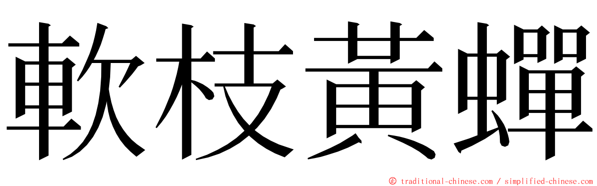 軟枝黃蟬 ming font