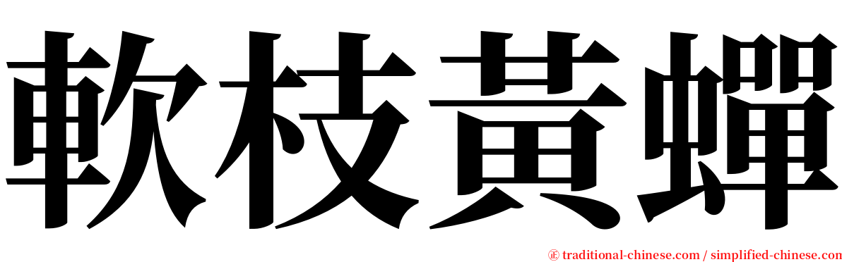 軟枝黃蟬 serif font