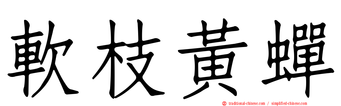 軟枝黃蟬